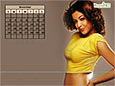 Calendar Wallpaper 2013