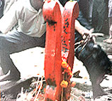 Durga Puja Sacrifice