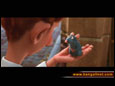 Screen Shots Ratatouille